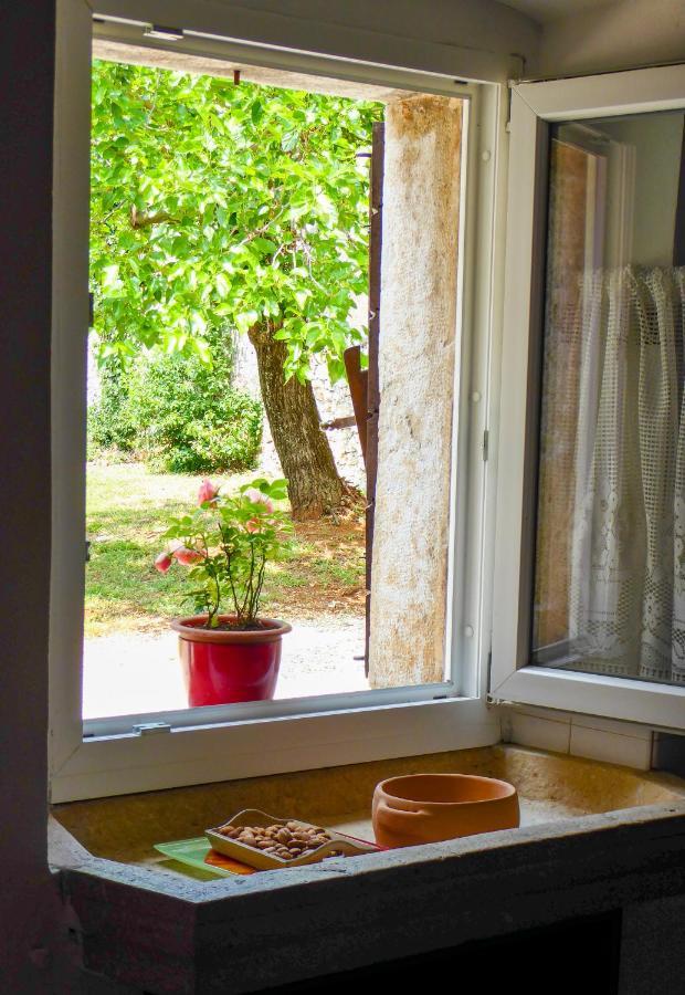 Casa Istriana Nona Pina Villa Kaštelir Exteriör bild